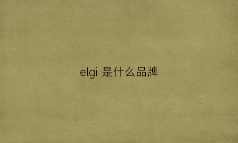 elgi是什么品牌(elogio是什么品牌)